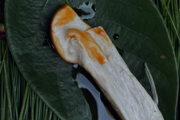 送人用什么等級的松茸好 送人用什么等級的松茸好