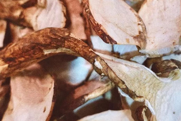 干松茸炒什么好吃 干松茸炒什么好吃