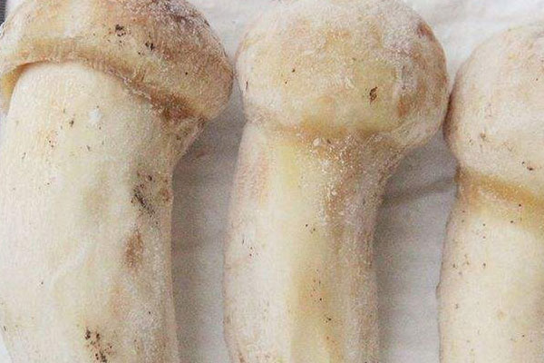 松茸山藥鴿子湯的營養(yǎng)價(jià)值 松茸山藥鴿子湯的營養(yǎng)價(jià)值