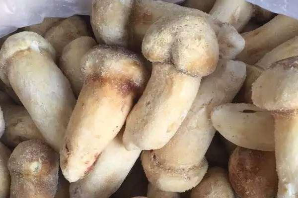 松茸山藥鴿子湯的食用禁忌 松茸山藥鴿子湯的食用禁忌