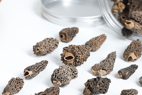 羊肚菌黑虎掌菌湯的營養(yǎng)價值 羊肚菌黑虎掌菌湯的營養(yǎng)價值