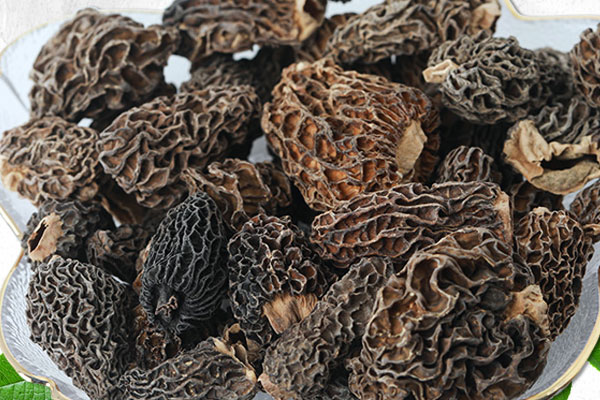 羊肚菌杏仁湯的功效作用 羊肚菌杏仁湯的功效作用