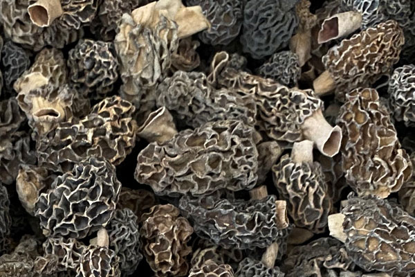 羊肚菌杏仁湯的食用禁忌 羊肚菌杏仁湯的食用禁忌