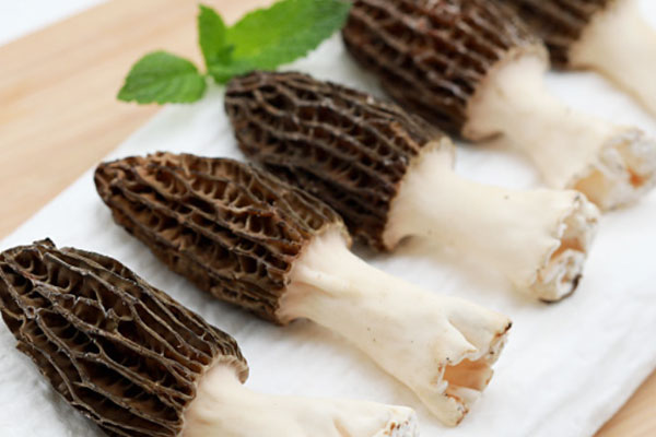 羊肚菌辣椒燜豆腐的食用禁忌 羊肚菌辣椒燜豆腐的食用禁忌