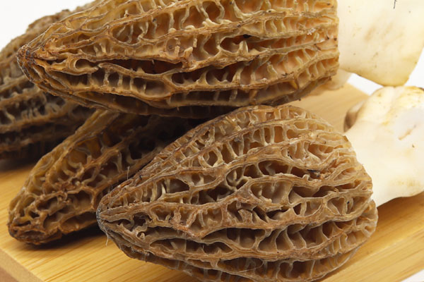 羊肚菌鯽魚番茄湯的食用禁忌 羊肚菌鯽魚番茄湯的食用禁忌