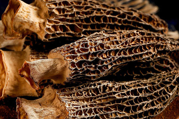 羊肚菌治好了過敏性咳嗽，虎奶羊肚菌湯咳嗽可以吃嗎