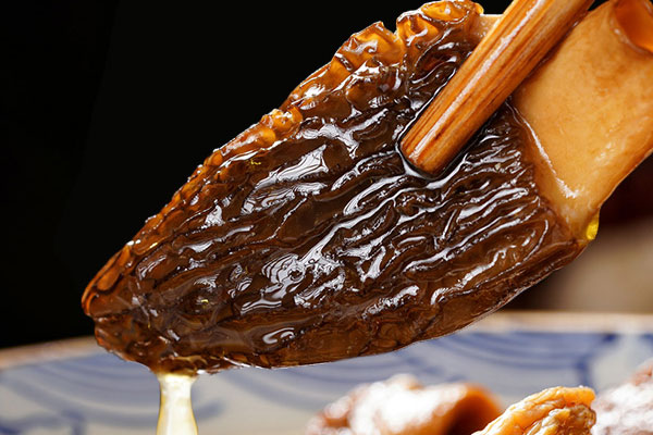 虎奶羊肚菌湯咳嗽能吃嗎 虎奶羊肚菌湯咳嗽能吃嗎