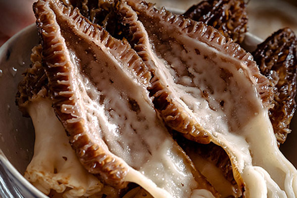 羊肚菌的三大功效 羊肚菌的三大功效