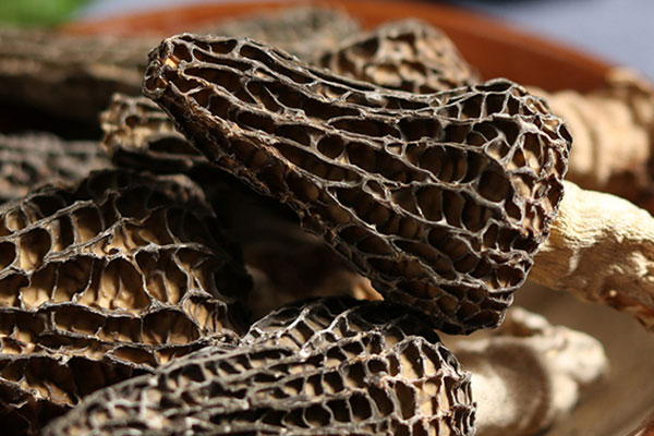 新鮮、干羊肚菌哪個好