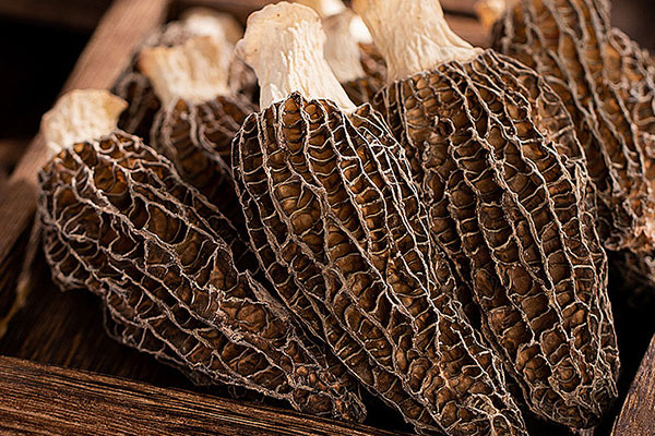 羊肚菌可以提前一晚泡嗎，泡羊肚菌的水深色好還是淺色