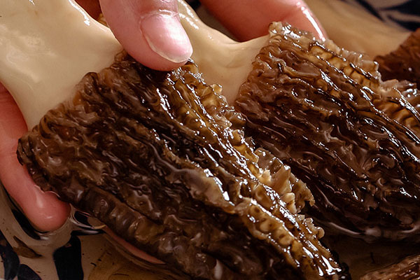 泡羊肚菌的水深色好還是淺色好 泡羊肚菌的水深色好還是淺色好