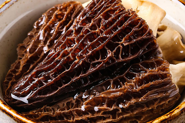 羊肚菌的快速泡發(fā)方法 羊肚菌的快速泡發(fā)方法