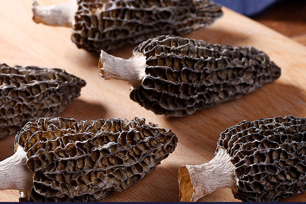 怎么晾曬羊肚菌 怎么晾曬羊肚菌