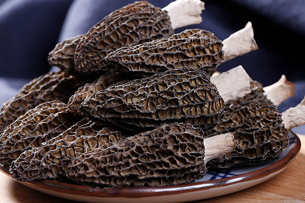 羊肚菌是曬干還是烘干好 羊肚菌是曬干還是烘干好