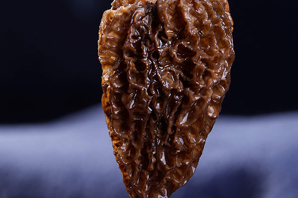 云南哪里的羊肚菌最好 云南哪里的羊肚菌最好