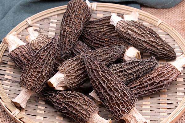 羊肚菌可以長(zhǎng)期吃嗎 羊肚菌可以長(zhǎng)期吃嗎