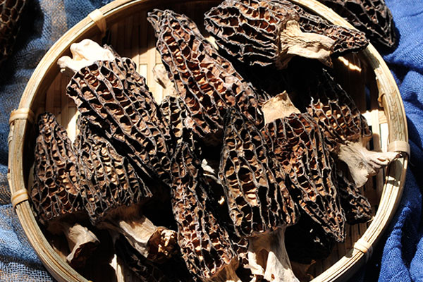 肝癌能吃羊肚菌嗎，肝硬化能吃羊肚菌嗎