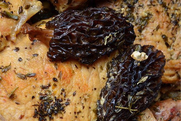 肝硬化可以吃羊肚菌嗎 肝硬化可以吃羊肚菌嗎