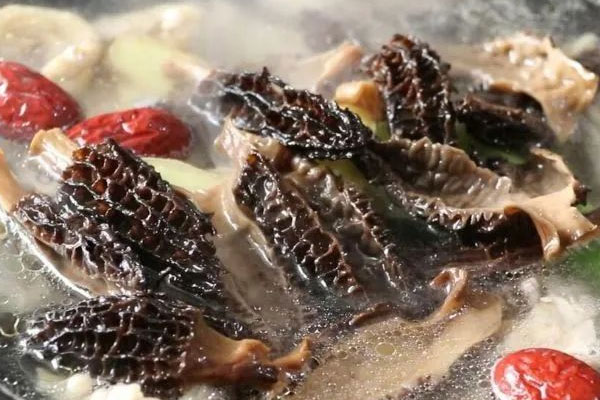 新鮮羊肚菌燉藏雞 新鮮羊肚菌燉藏雞