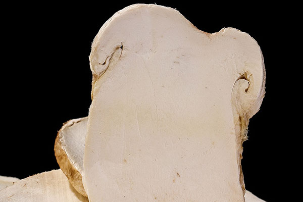 松茸冬蟲夏草骨頭湯的營(yíng)養(yǎng)價(jià)值