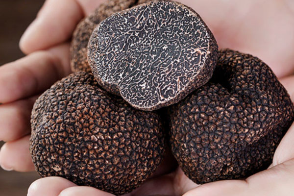 黑松露表面有沒(méi)有白色 黑松露表面有沒(méi)有白色