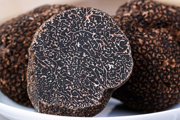 黑龍江什么地方出產(chǎn)松露 黑龍江什么地方出產(chǎn)松露