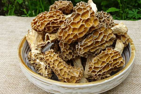 腦梗塞可以吃羊肚菌嗎，腦腫瘤患者可以吃羊肚菌嗎