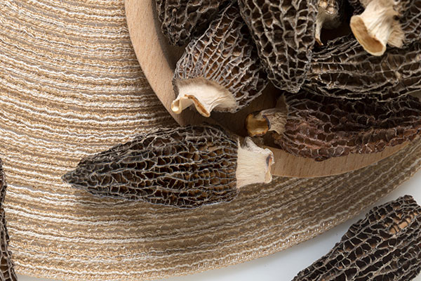 羊肚菌是上火還是下火的食材 羊肚菌是上火還是下火的食材