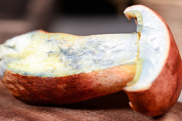 如何清洗牛肝菌里的沙土 如何清洗牛肝菌里的沙土