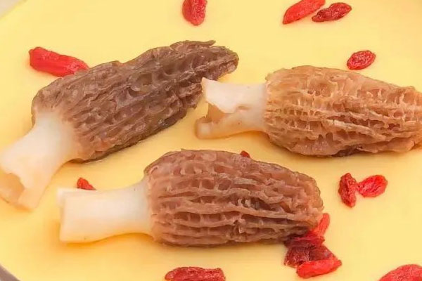 羊肚菌枸杞蒸蛋的功效作用 羊肚菌枸杞蒸蛋的功效作用