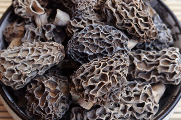 羊肚菌椰肉烏雞湯的功效作用 羊肚菌椰肉烏雞湯的功效作用