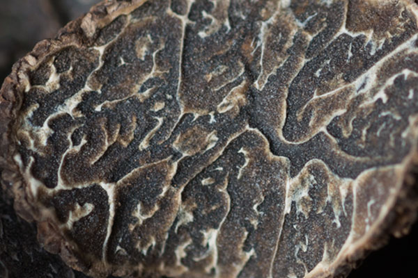 黑松露青橄欖鮑魚石斛湯的食用禁忌 黑松露青橄欖鮑魚石斛湯的食用禁忌