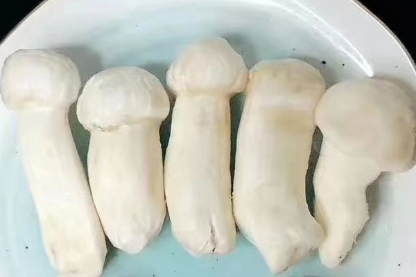 松茸培根卷的食用禁忌