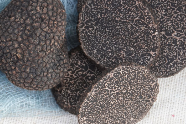 黑松露帶子墨魚面的功效作用 黑松露帶子墨魚面的功效作用