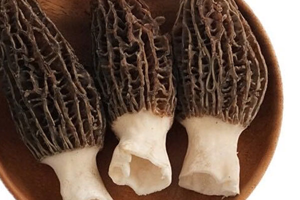 解決種植羊肚菌重茬障礙的方法 解決種植羊肚菌重茬障礙的方法