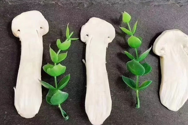 松茸泡酒松茸顏色不白了，松茸泡水后變黑