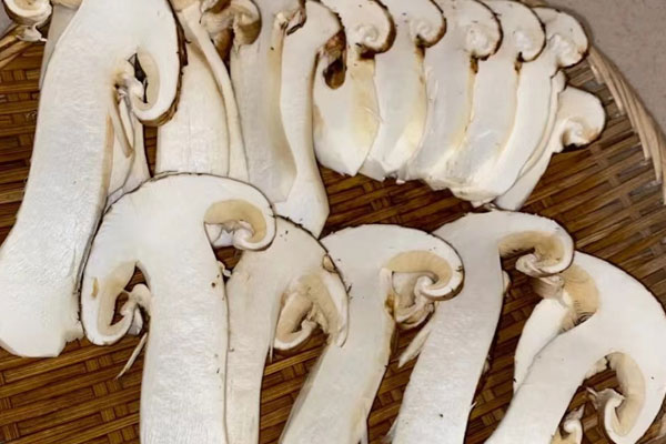 松茸頂部的黑色要去掉嗎 松茸頂部的黑色要去掉嗎