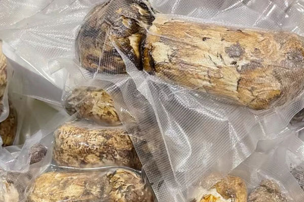 松茸和赤松茸哪個(gè)價(jià)格貴 松茸和赤松茸哪個(gè)價(jià)格貴