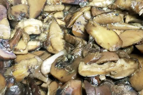 牛肝菌的適合人群，美味牛肝菌的產(chǎn)地在哪里