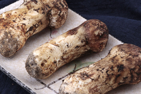 朝鮮松茸和云南松茸哪個好，松茸在中國貴嗎