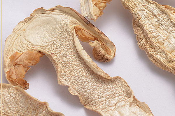 干松茸貴嗎，癌癥病人吃松茸有什么作用