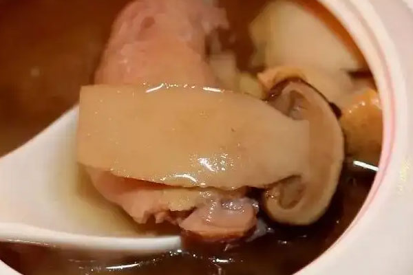 肺腺癌能吃鴿子松茸湯嗎，松茸都是野生的嗎
