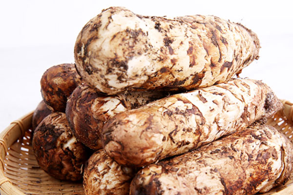 肺癌能吃松茸嗎 肺癌能吃松茸嗎