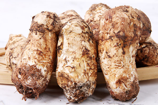 癌癥患者怎么吃松茸最好 癌癥患者怎么吃松茸最好