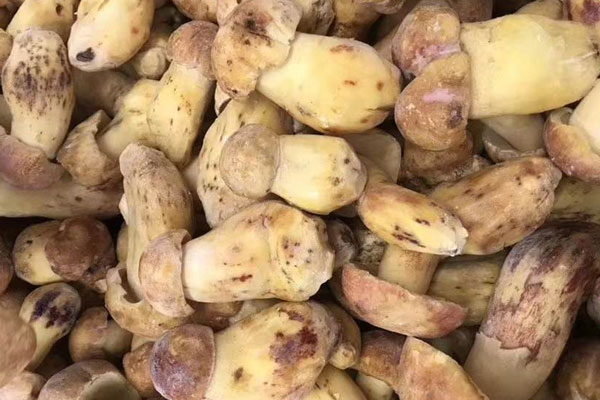 牛肝菌蔥花炒蛋的營(yíng)養(yǎng)價(jià)值 牛肝菌蔥花炒蛋的營(yíng)養(yǎng)價(jià)值