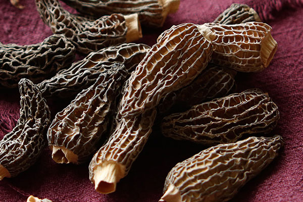 羊肚菌豆皮溫泉蛋的營養(yǎng)價值 羊肚菌豆皮溫泉蛋的營養(yǎng)價值