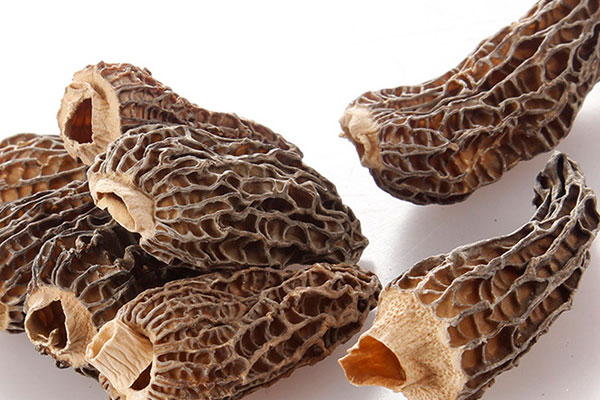 羊肚菌豆皮溫泉蛋的食用禁忌 羊肚菌豆皮溫泉蛋的食用禁忌