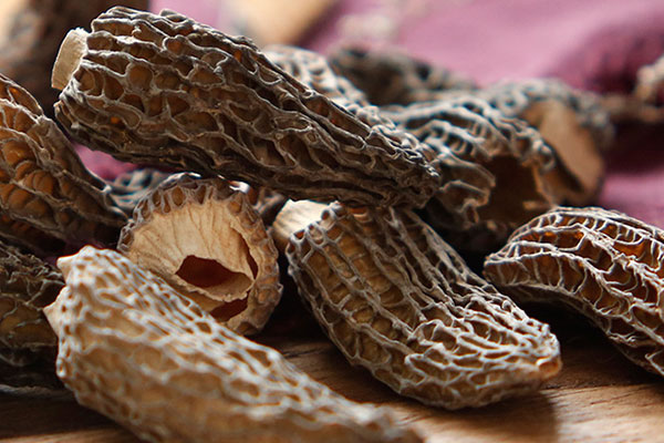 羊肚菌棒骨蘿卜湯的食用禁忌 羊肚菌棒骨蘿卜湯的食用禁忌