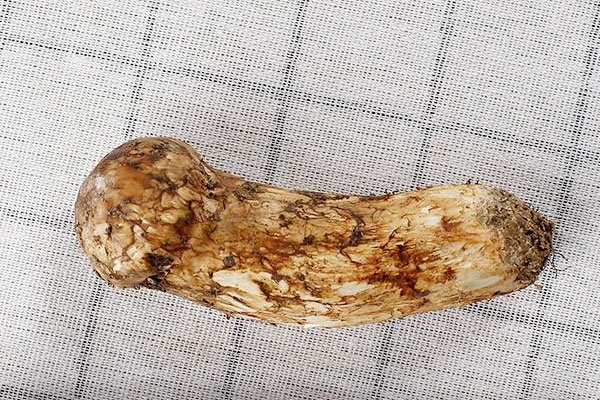 松茸奶油蘑菇湯的禁忌人群 松茸奶油蘑菇湯的禁忌人群