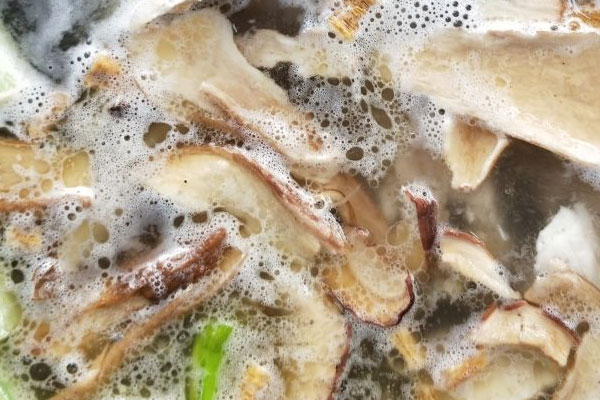 牛肝菌黨參魚頭湯的食用禁忌 牛肝菌黨參魚頭湯的食用禁忌
